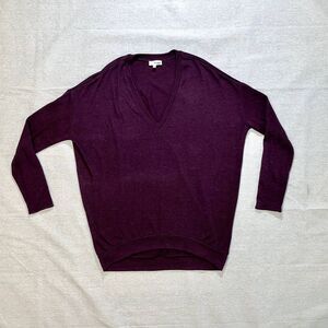 Wilfred Free - Aritzia | Plum Long Sleeve Tunic Top | Small